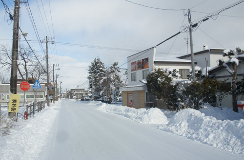 除雪管理システム,ICT地域活性化,除雪業務,除雪管理,IT活用